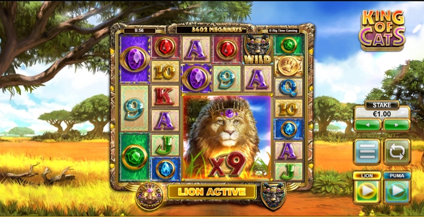 King of Cats Slot Casino Monkey Leone
