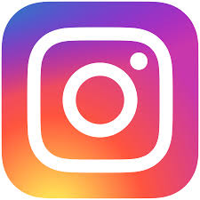 Logo Canale Instagram Casinomonkey
