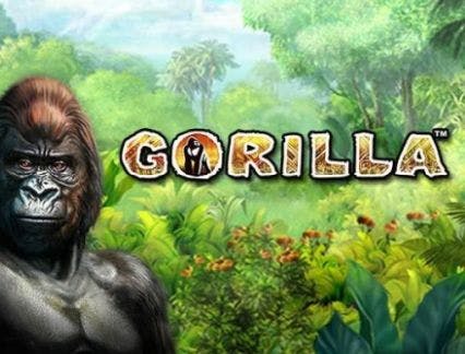 Slot Gorilla Recensione
