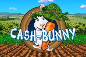 cash bunny casinomonkey