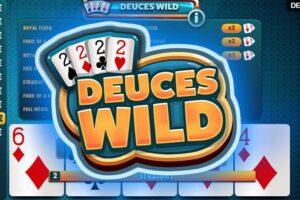 deuces wild video poker casinomonkey